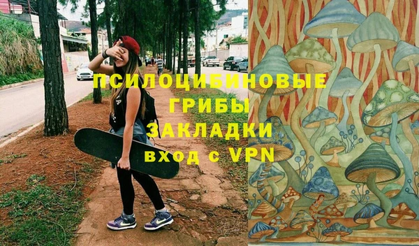 альфа пвп Краснослободск