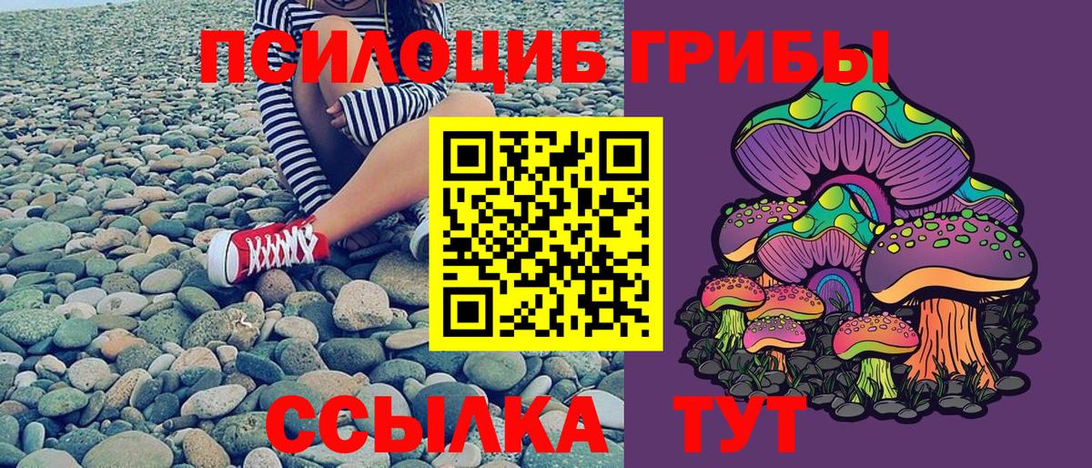 Псилоцибиновые грибы Magic Shrooms Белгород